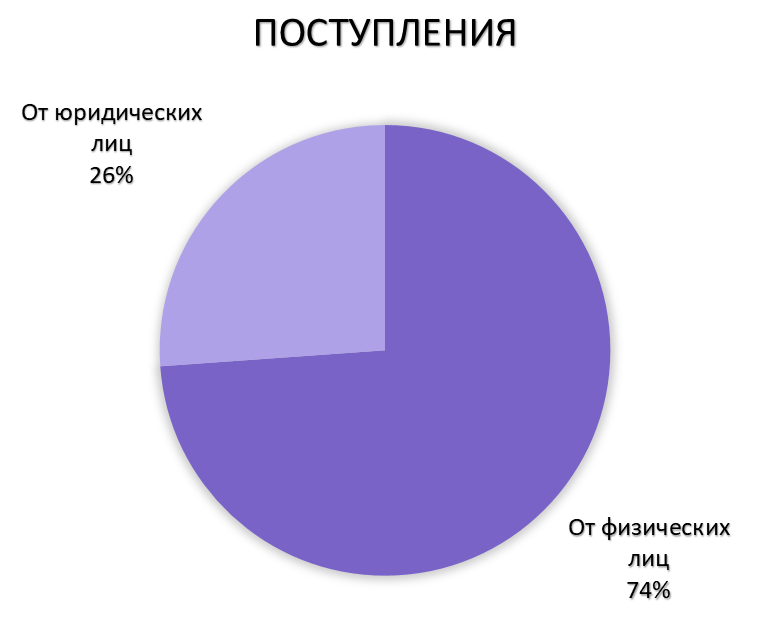 Отчет МООМПЭСЦ «Метелица» за январь 2024 года.