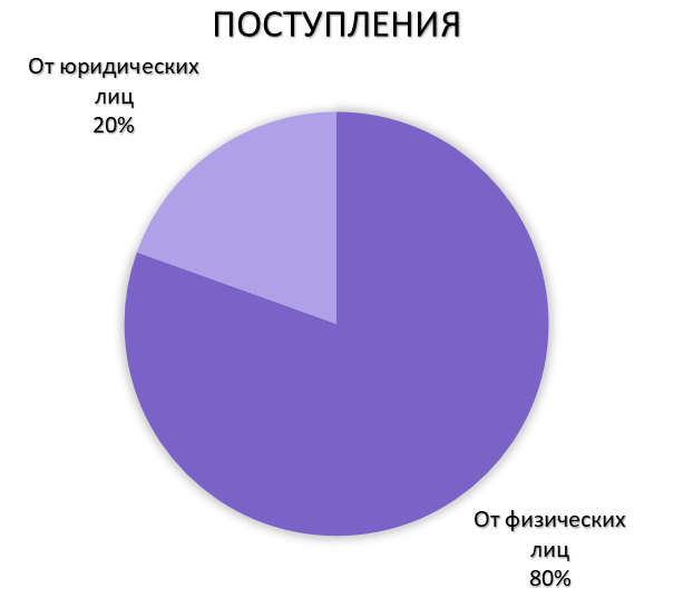 Отчет МООМПЭСЦ «Метелица» за февраль 2024 года.