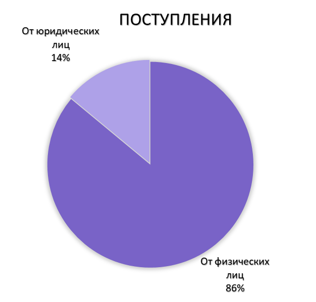 Отчет МООМПЭСЦ «Метелица» за апрель 2024 года.